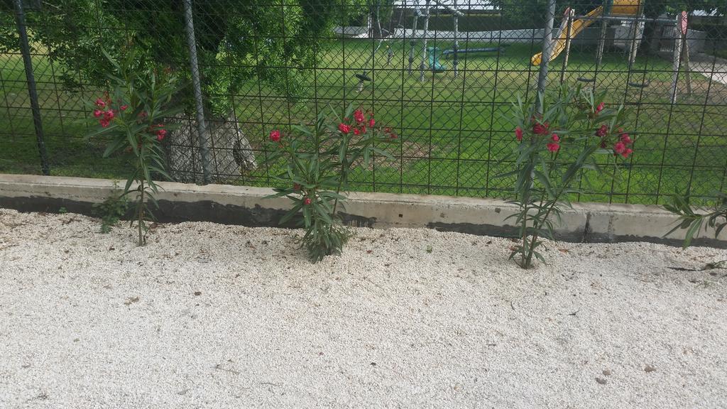 Appartamento Faneromeni Court Paphos Esterno foto